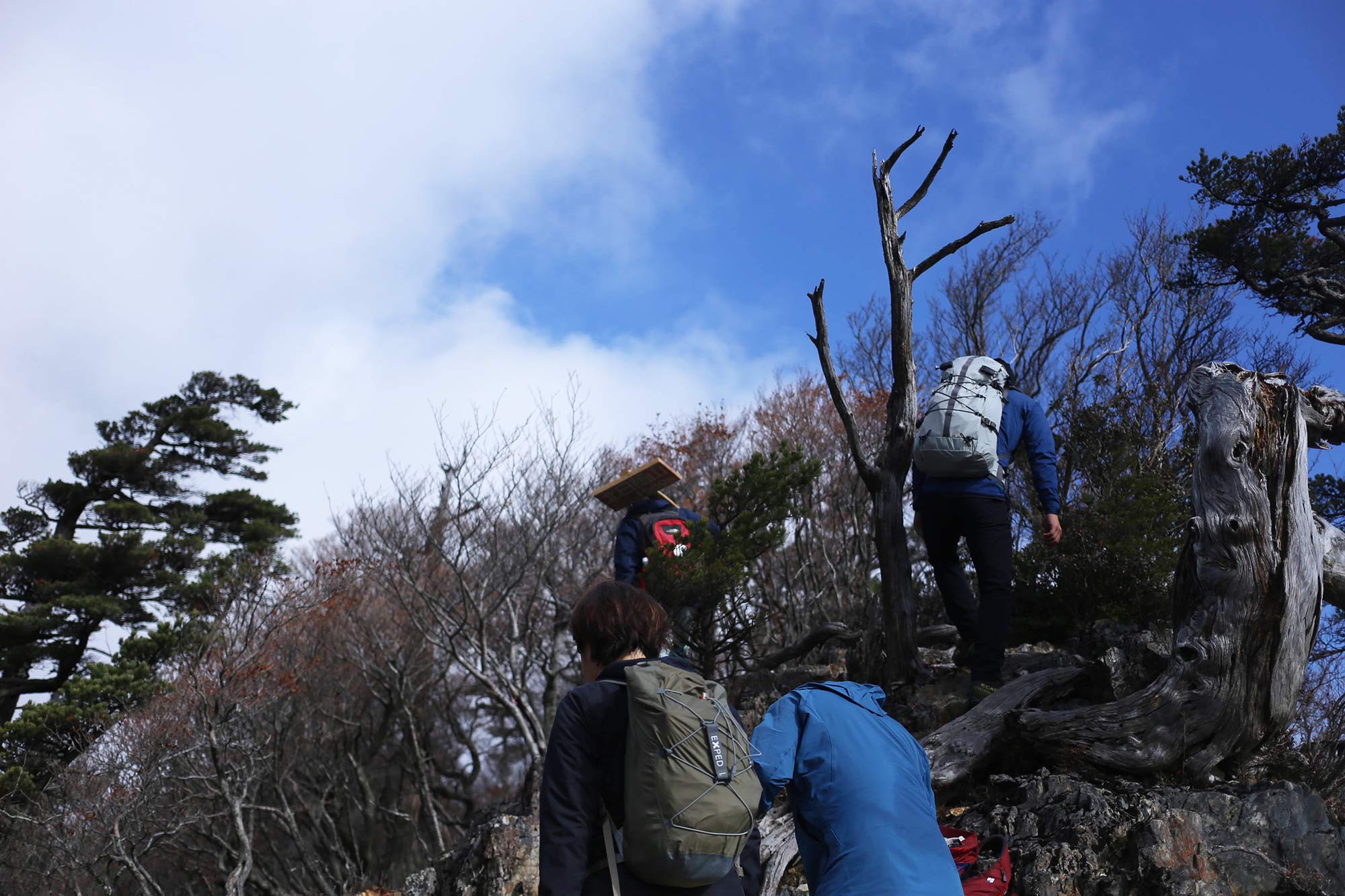 宮崎県北部の山域の登山道整備に同行させていただいた際の一コマ